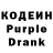 Кодеиновый сироп Lean Purple Drank Kausar Bekaidarovna