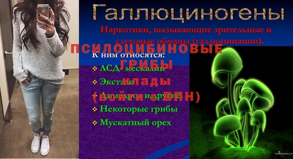 ГАЛЛЮЦИНОГЕННЫЕ ГРИБЫ Россошь