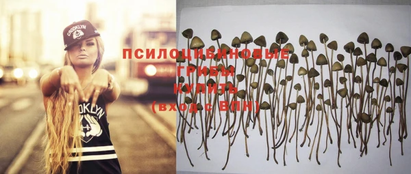 прущая мука Рославль
