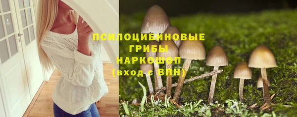 прущая мука Рославль