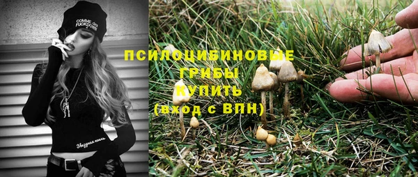 ПСИЛОЦИБИНОВЫЕ ГРИБЫ Галич